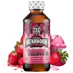 Magic Mushroom Syrup - Strawberry Gelato