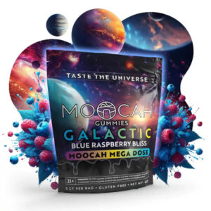 Megadose Mushroom Gummies - Blue Raspberry Bliss
